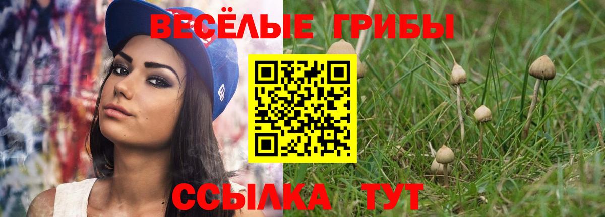 Псилоцибиновые грибы MAGIC MUSHROOMS  Вход с VPN  Коммунар 
